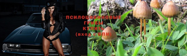 твердый Алексеевка
