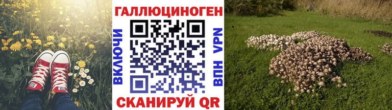 hydra зеркало Ставрополь Псилоцибиновые грибы MAGIC MUSHROOMS